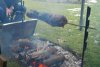 Weihnachts-Spie�braten